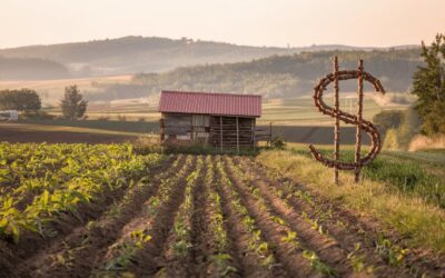 ZES Unica agricoltura: approvato il modello di comunicazione per la fruizione del credito di imposta